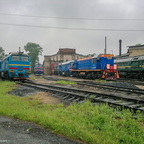 Хвойная