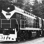 ТГМ6-004