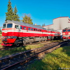 2М62-1081 и ДМ62-1768